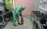 Услуги дезинсекции в Самаре